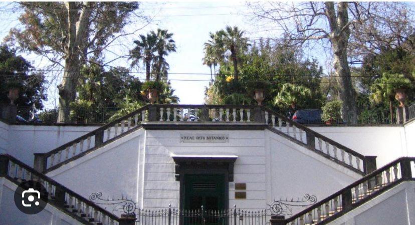 La Dimora Di Antonella Villa Napoli Dış mekan fotoğraf